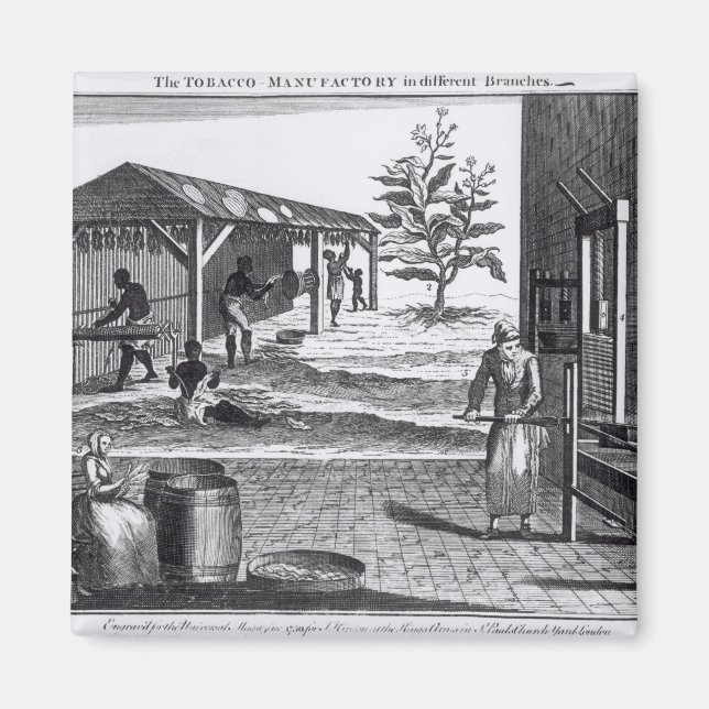 Imán La fábrica de tabaco en diferentes ramas (Frente)