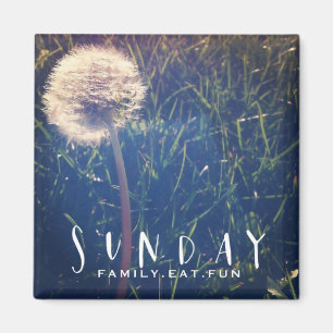 Imán La familia de domingo come la diversión