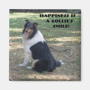 Imán La felicidad es la sonrisa de un collie