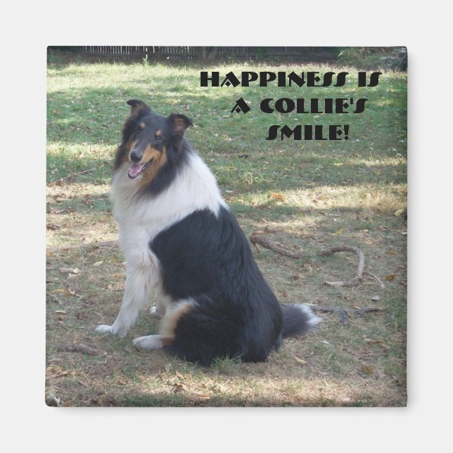 Imán La felicidad es la sonrisa de un collie (Frente)