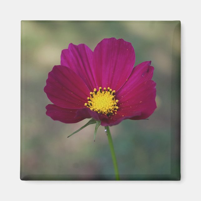 Imán La flor perfecta de la hermana (Frente)