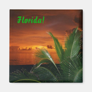 Imán ¡La Florida!