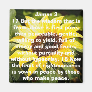 Imán la fruta del girasol del verso de la biblia de la