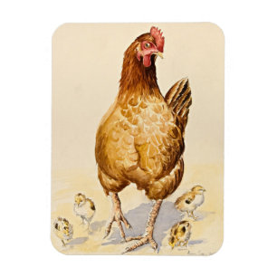Imán La gallina y sus polluelos 2007 de George