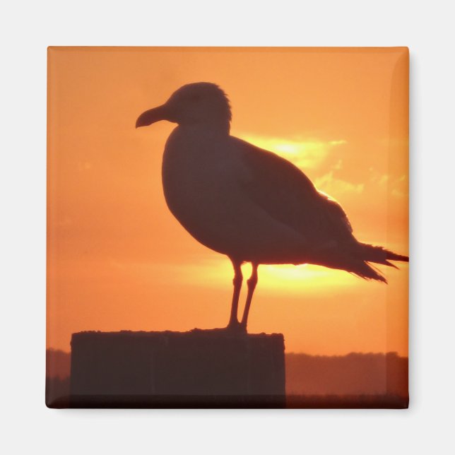 Imán La gaviota marina al atardecer (Frente)