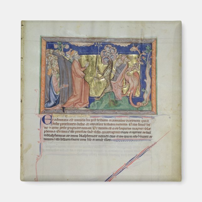 Imán La gente adoraba a la bestia y a la (Frente)