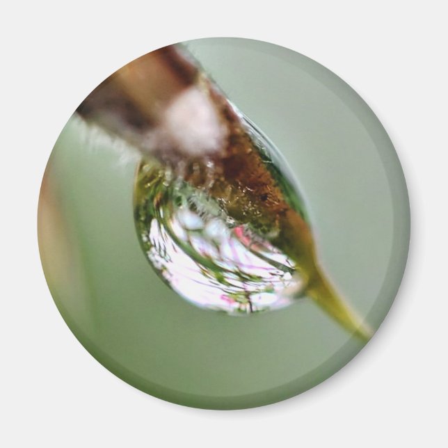 Imán La gotita de agua del mundo pequeño (Frente)