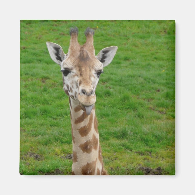 Imán ¡La Graciosa Girafa Que Sacude La Lengua! (Frente)