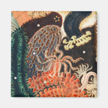 La Gran Barrera de Coral de Australia