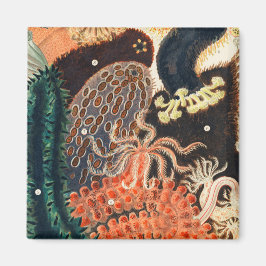 Imán La Gran Barrera de Coral de Australia