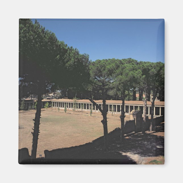 Imán La Gran Palaestra (Frente)