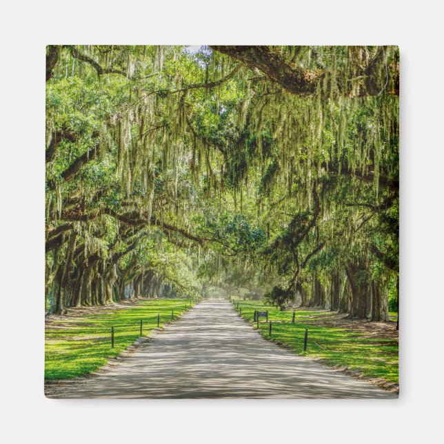 Imán La Hermosa Avenida De Los Oaks (Frente)