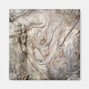 Imán La hermosa obra de arte de la naturaleza de Driftw