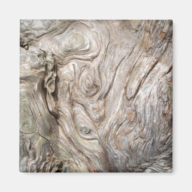 Imán La hermosa obra de arte de la naturaleza de Driftw (Frente)