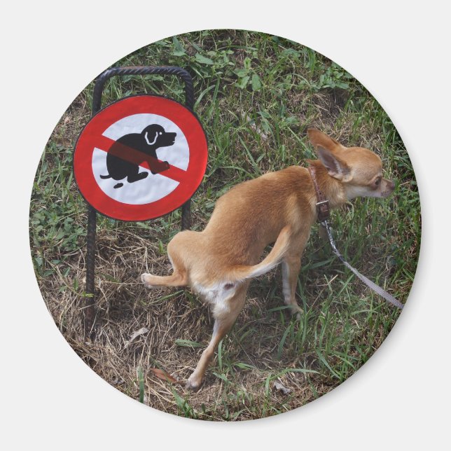 Imán La ignorancia es bliss (Frente)