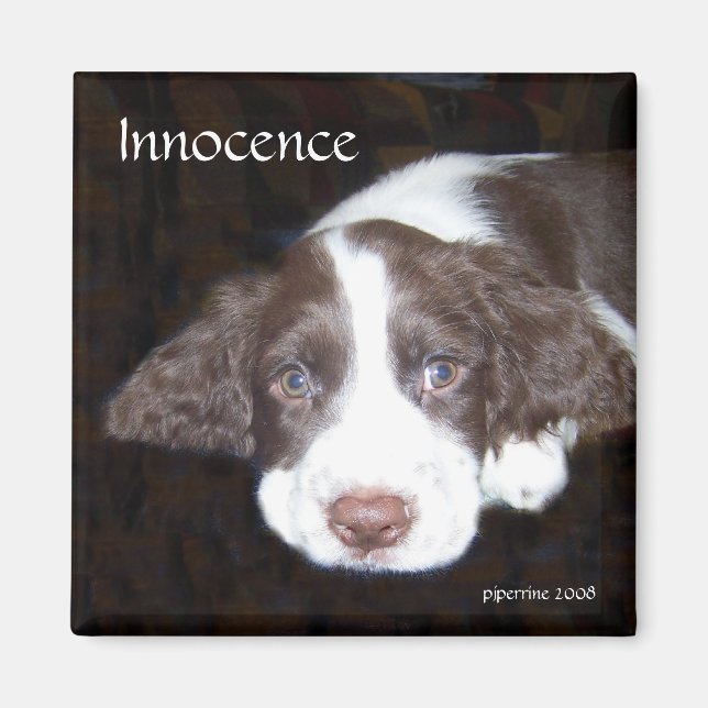 Imán La inocencia - El amor de los cachorros (Frente)
