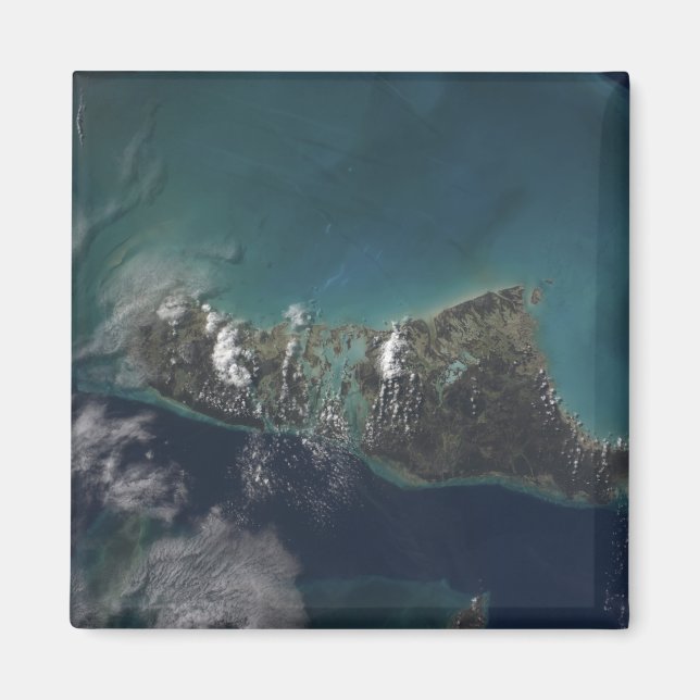 Imán La isla Andros de las Bahamas (Frente)