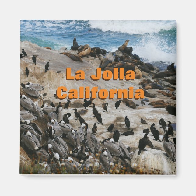 Imán La Jolla California Souvenir Magnet (Frente)
