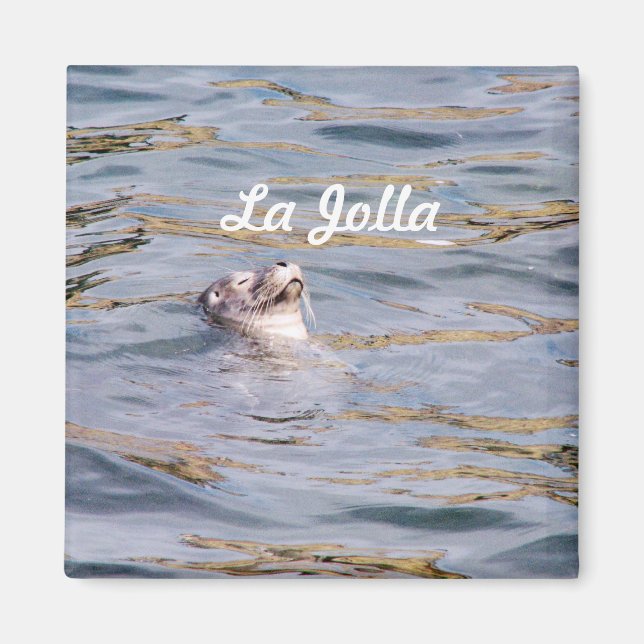 Imán La Jolla Seal (Frente)