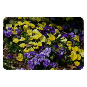 Imán La ladera de los Pansies morado y amarillo