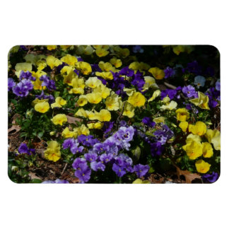Imán La ladera de los Pansies morado y amarillo