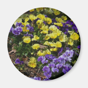 Imán La ladera de los Pansies morado y amarillo