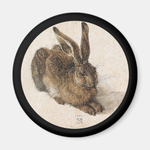 Imán La liebre joven