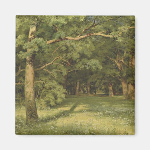 Imán La limpieza forestal (paisaje de Woodland)