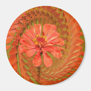 Imán La luz de primavera........