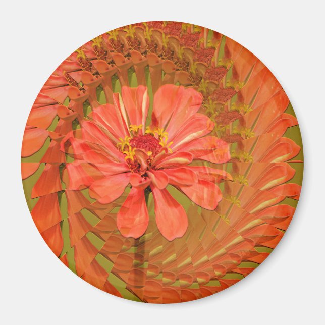 Imán La luz de primavera........ (Frente)