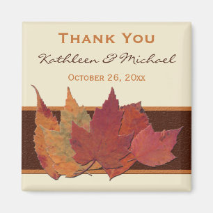 Imán La marfil anaranjada de Brown secada sale de favor