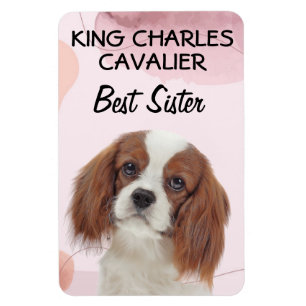 Imán La mejor hermana del rey Charles Cavalier