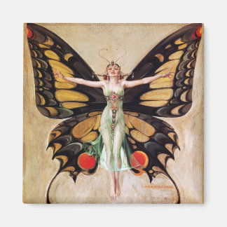 Imán La metamorfosis del Chica Flapper a la mariposa 19