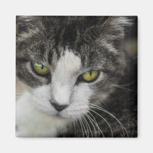Imán La mirada del bebé