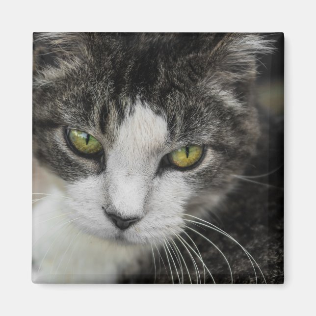 Imán La mirada del bebé (Frente)