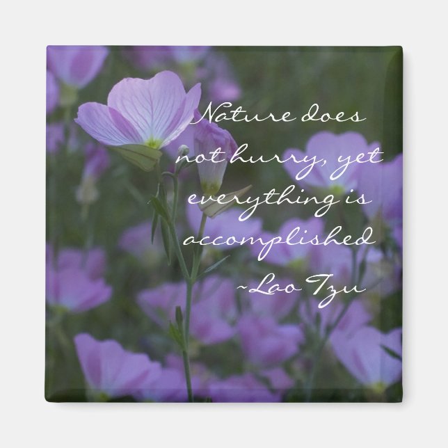 Imán la naturaleza no se apresura (Frente)