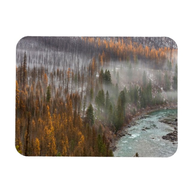Imán La niebla se desliza sobre los alerces de otoño (Horizontal)
