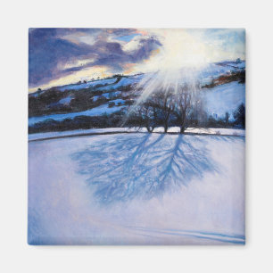 Imán La nieve sombrea 2009