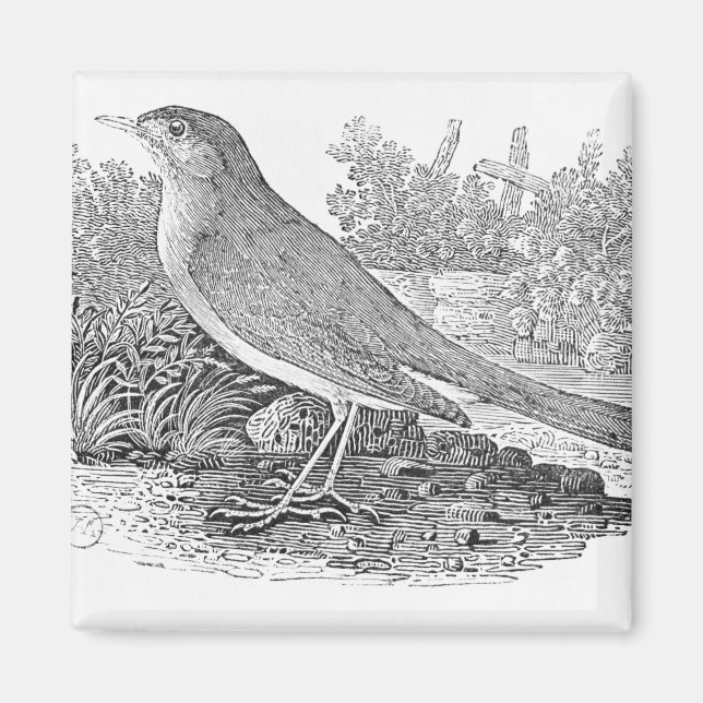 Imán La Nightingale (Frente)