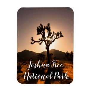 Imán La noche comienza en el árbol Joshua