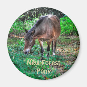 Imán La nueva vida silvestre de Pony Forest