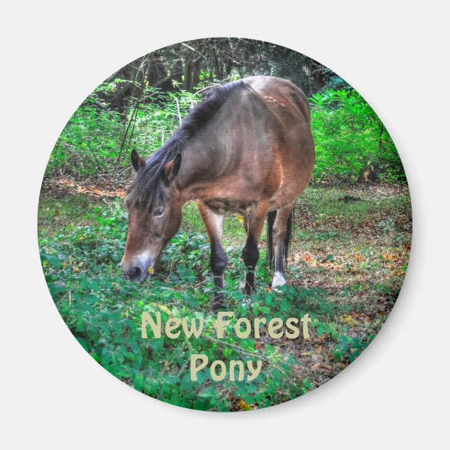 Imán La nueva vida silvestre de Pony Forest (Frente)