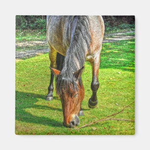 Imán La nueva vida silvestre de Pony Forest
