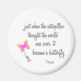 Imán La oruga del catervino se convirtió en mariposa