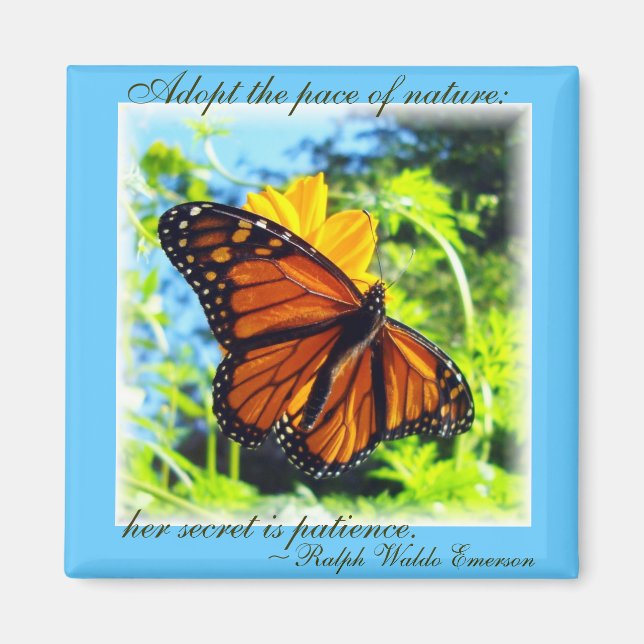 Imán La paciencia es una virtud Monarch Magnet (Frente)