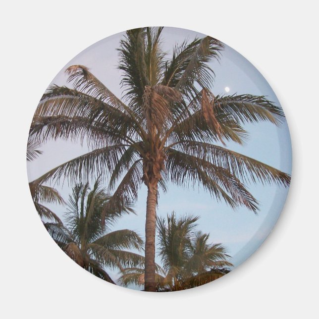 Imán La Palm se mueve (Frente)