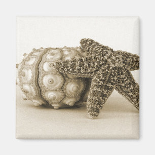 Imán La pareja extraña