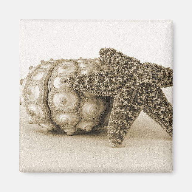 Imán La pareja extraña (Frente)