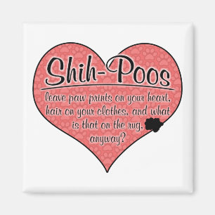 Imán La pata de Shih-Poo imprime humor del perro