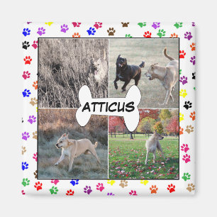 Imán La pata personalizada de las fotos del perro